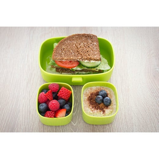 Look Back Lunch Box For Kids, Green Color