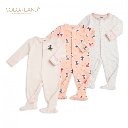 Colorland - Baby Romper / Pink Princess 3 Pieces In One Pack - 6-9 Months