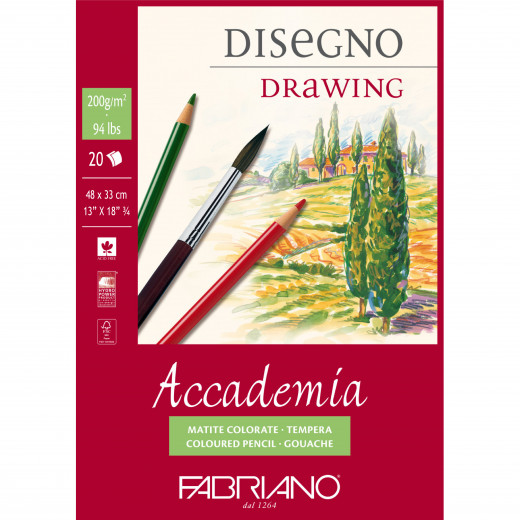 Fabriano Accademia Drawing Pad 200 G, 20 sheets (size 48cm * 33cm)
