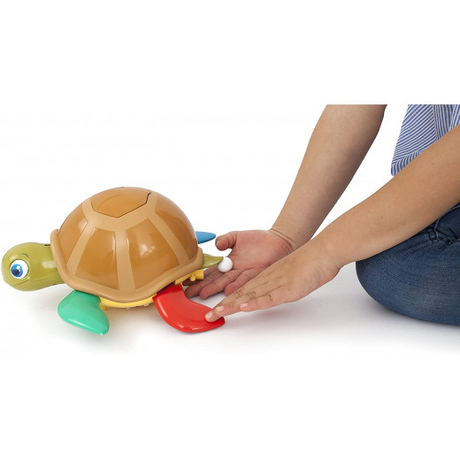 Play Fun Turtle Game