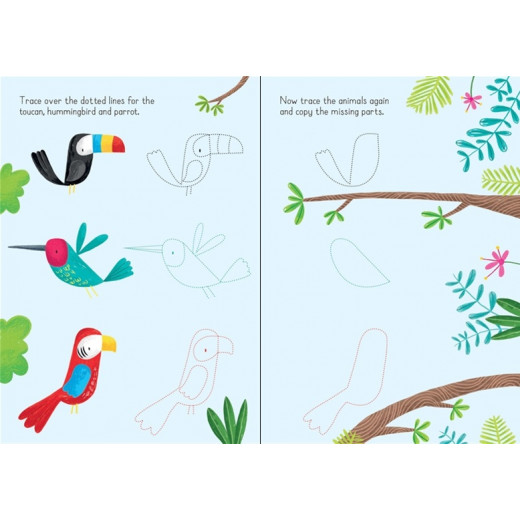 Usborne Little Wipe-Clean Animals to Copy and Trace Book