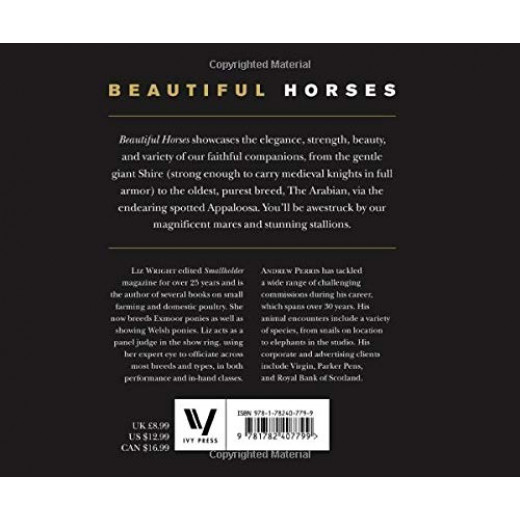 Beautiful Horses Book