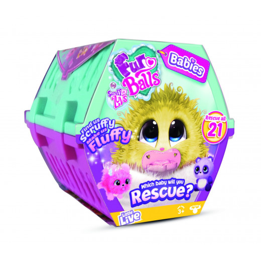 Little Live Scruff-a-Luvs Rescue Pet Soft Toy - Babies Collectables with Multicoloured