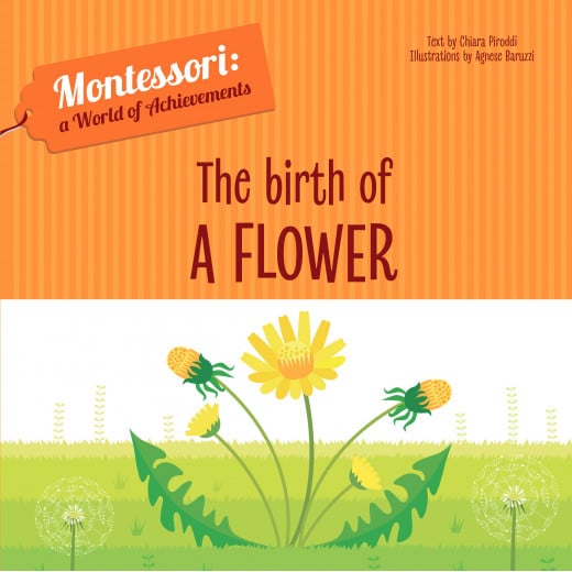 White Star - Birth of a Flower - Montessori: A World of Achievements