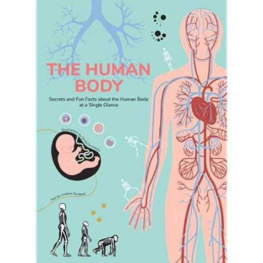 White Star - Human Body : Secrets and Fun Facts About the Human Body at a Single Glance