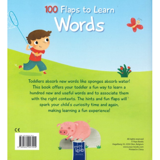 كتاب يويو ، 100 لوحة للتعلم: كلمات