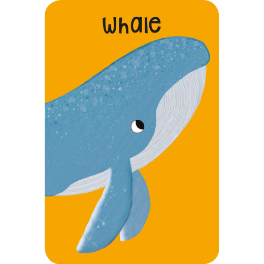 مايلز كيلي - Snap Cards, Under Sea