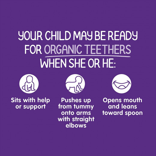 Happy Baby Organic Teethers Blueberry & Purple Carrot