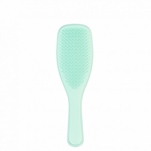 Tangle Teezer The Wet Detangling Fine & Fragile Hair Brush - # Mint 1pc Brushes