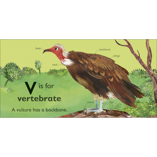 DK Book: V Is For Vulture
