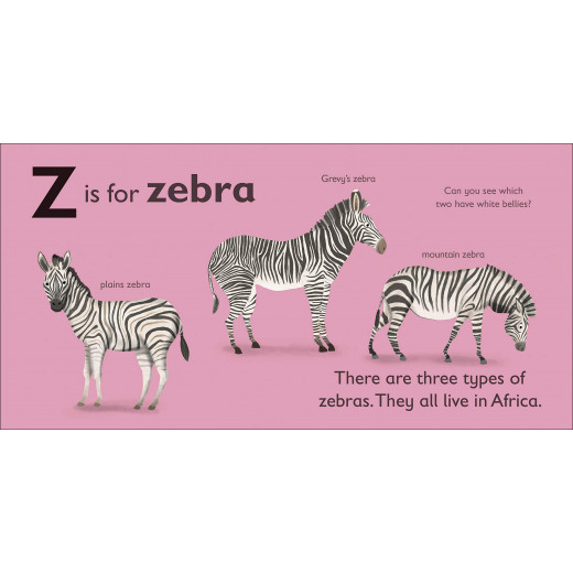 DK Book: Z is for Zebra
