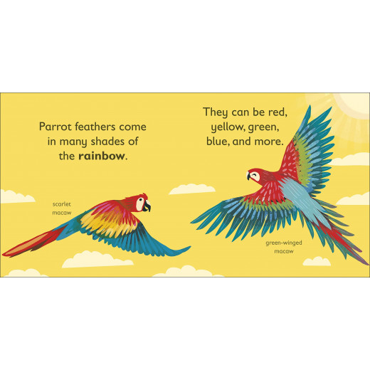 Dk Books Publisher Book: ( P ) Is For Parrot