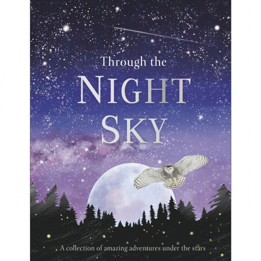 كتاب خلال سماء الليل مجموعة من المغامرات الرائعة تحت النجوم من دي كاي