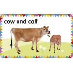 بطاقات : حيوانات المزرعة من دي كي