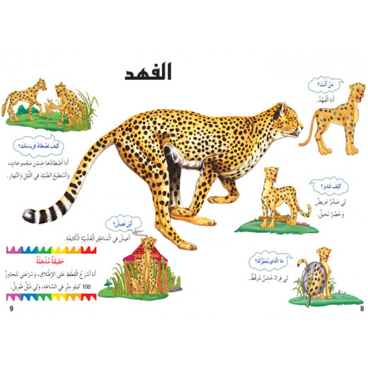 Dar Al Manhal My First Questions And Answers: Felines