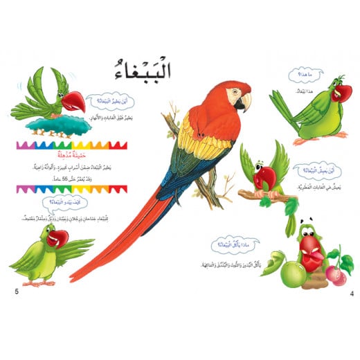 Dar Al Manhal My First Questions And Answers: Birds