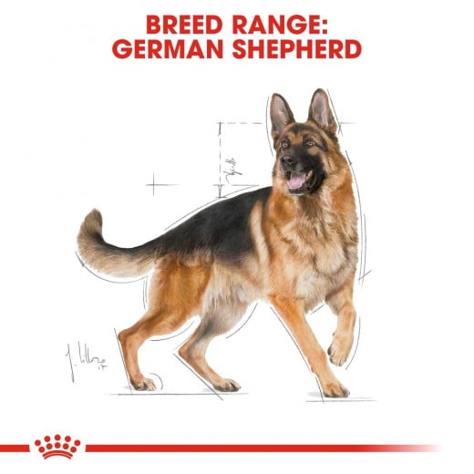 Royal Canin German Shepherd Dog Food, 11 Kg