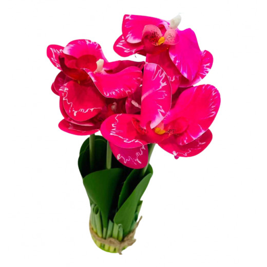 زهور الاوركيد البلاستيكية, باللون الفوشي