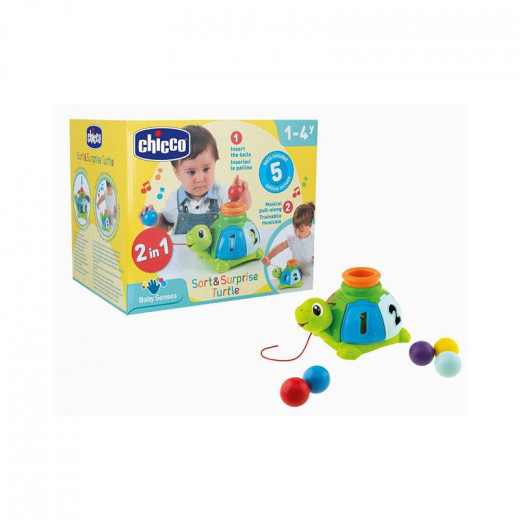 Chicco Baby Senses 2-in-1 Ball Turtle