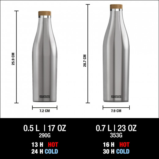 SIGG Meridian Water Bottle, Siver, 700 ml