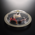 طقم تقديم حلويات دائري بتصميم ذهبي حجم كبير من فاجيو
