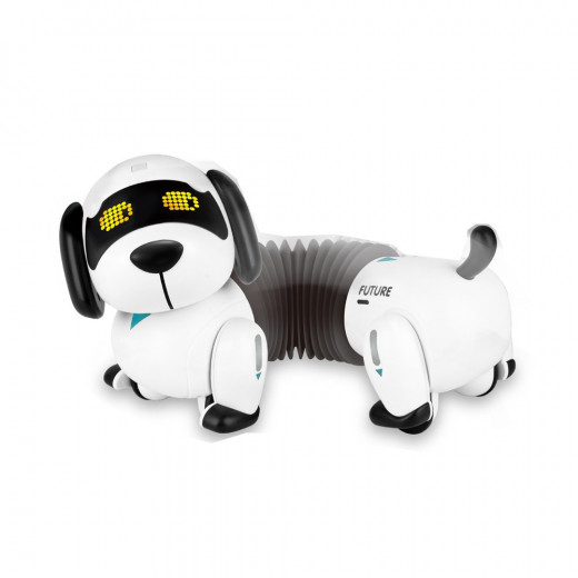 K Toys | Robot Dog With Remote Control