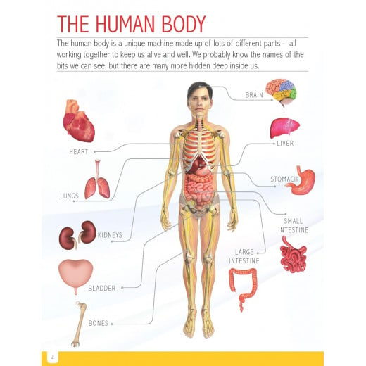 Dreamland Human Body Minipedia