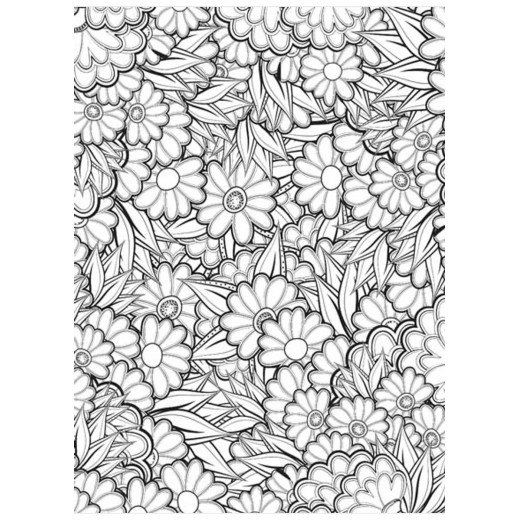 Dreamland flowers coloring book for adults