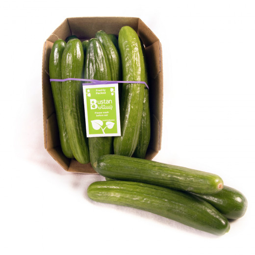 Cucumbers Fresh, Weight 500 Gm