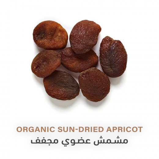Organic Sun-dried Apricot | 100g